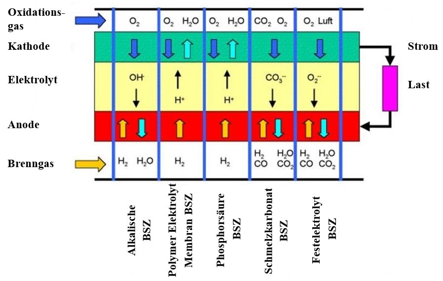 Abbildung 4: Zusammenfassung der Prinzipien verschiedener Brennstoffzellentypen